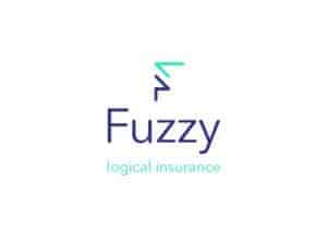 The image of a large colourful 'F' with the words, 'Fuzzy Insurance,' underneath.
