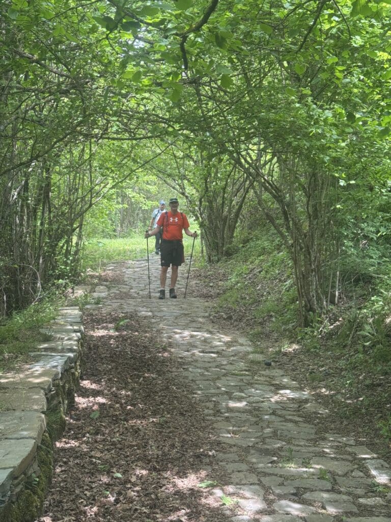 A man wearing walking gear and holding two walking poles stands on a countryside trail, surrounded by grassy hills and woodland